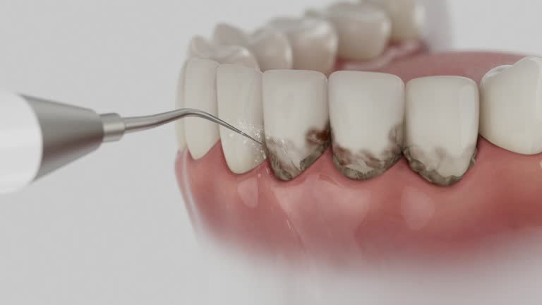 Reliable Dental contractor in Beecher, IL by Dentist Open Now